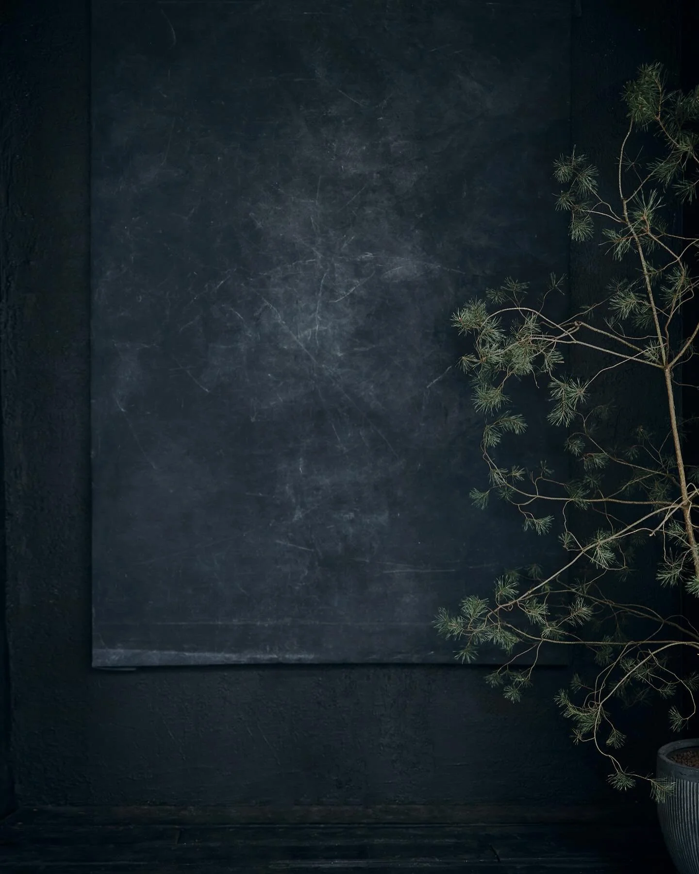 Set nr2 / Black Wabi-sabi / Xmas studio
#xmas #christmas #xmasstudio