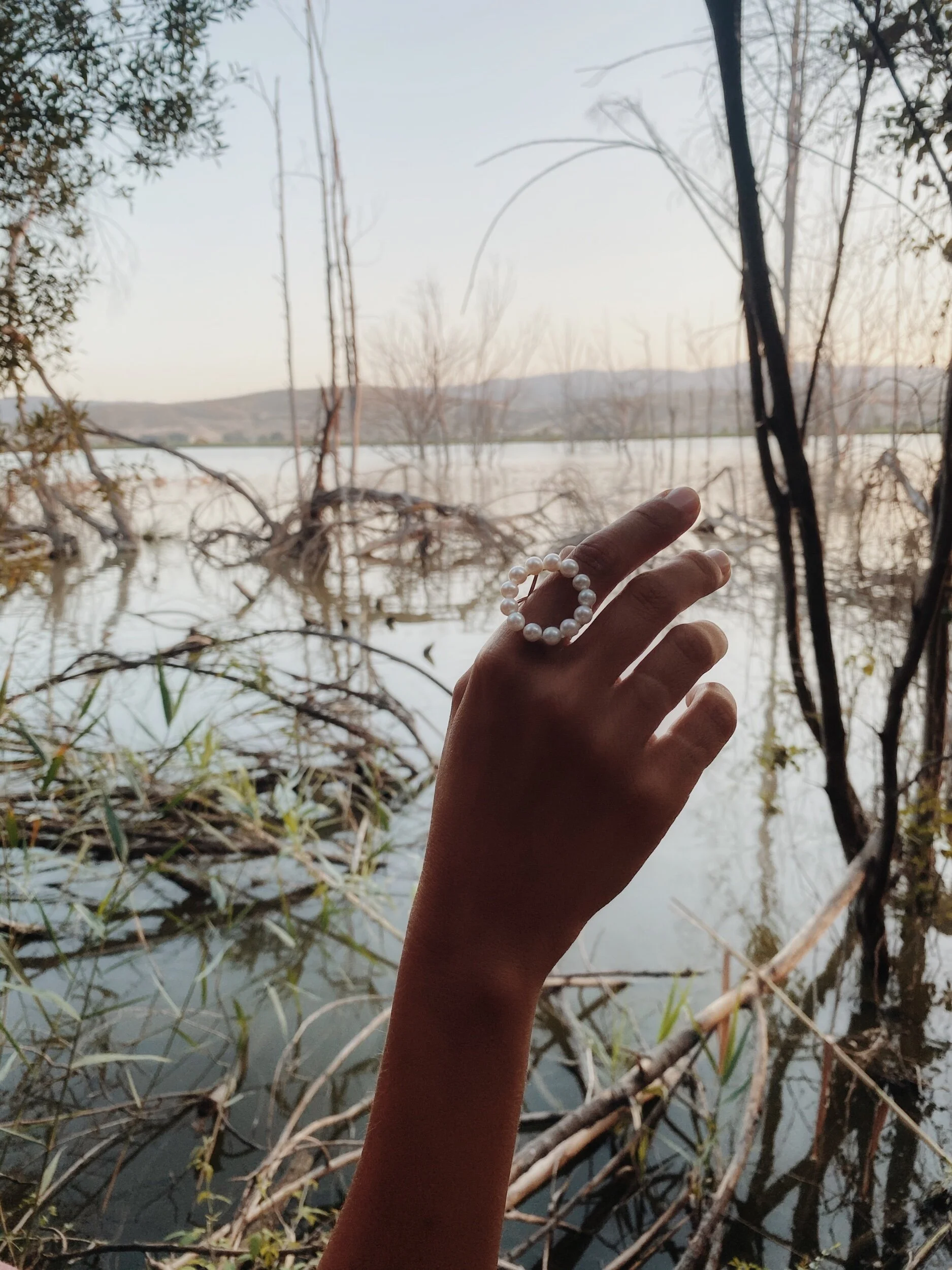 036F30EF-A72A-4218-A580-8E33713A8D9C