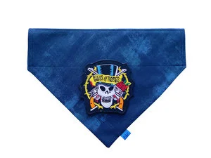 Customisable Blue Grunge Rock band'ana