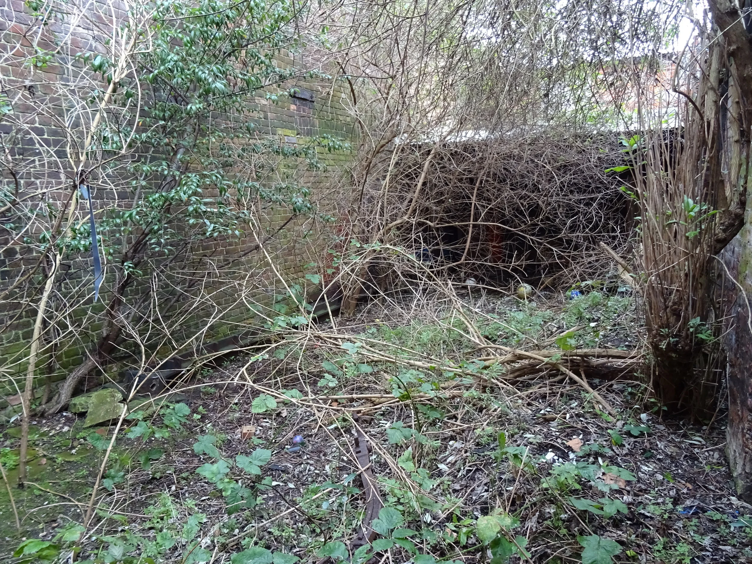 treadgolds stable 009.JPG