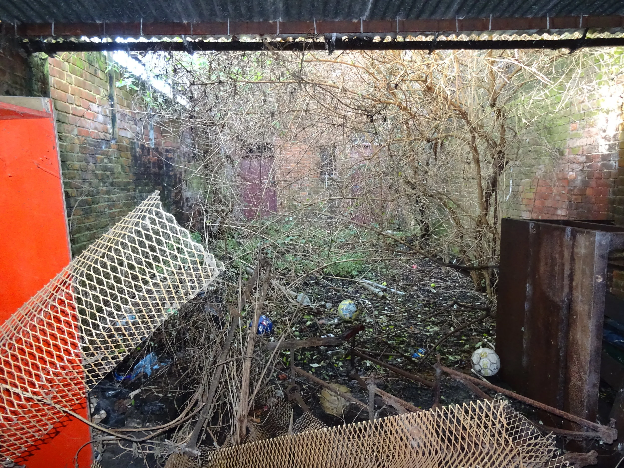 treadgolds garden 010.JPG