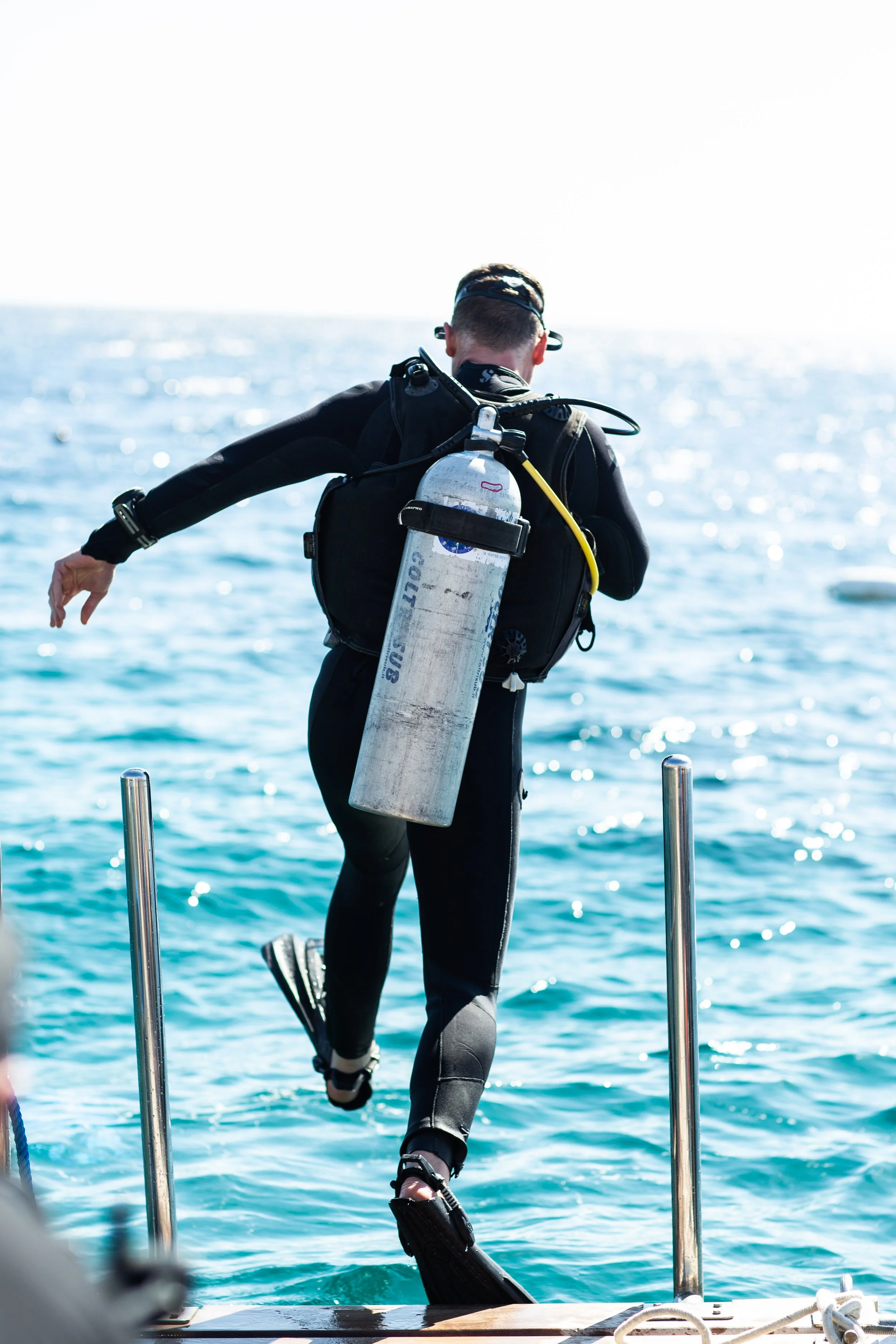 FS_Diving-33.jpg
