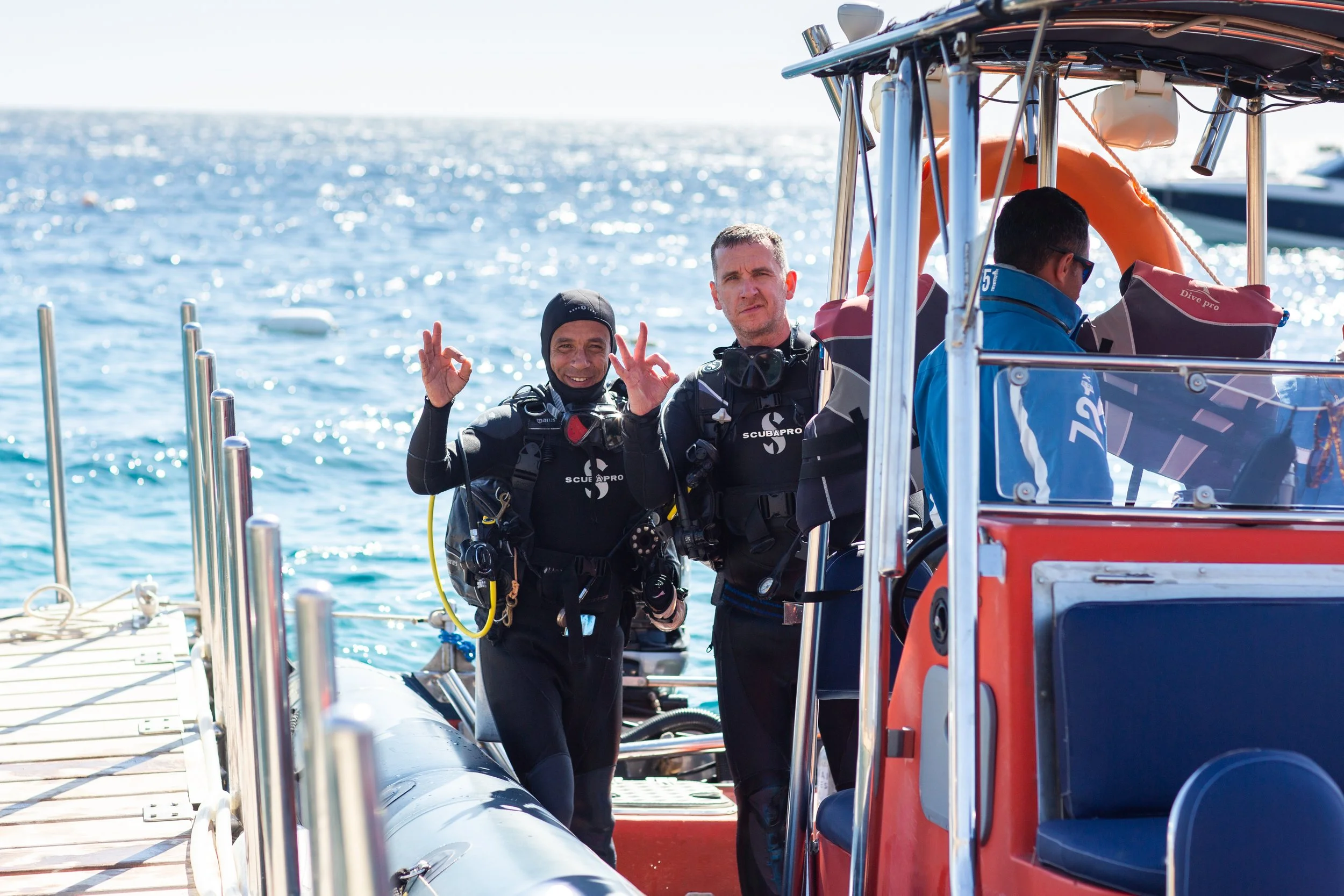 FS_Diving-34.jpg