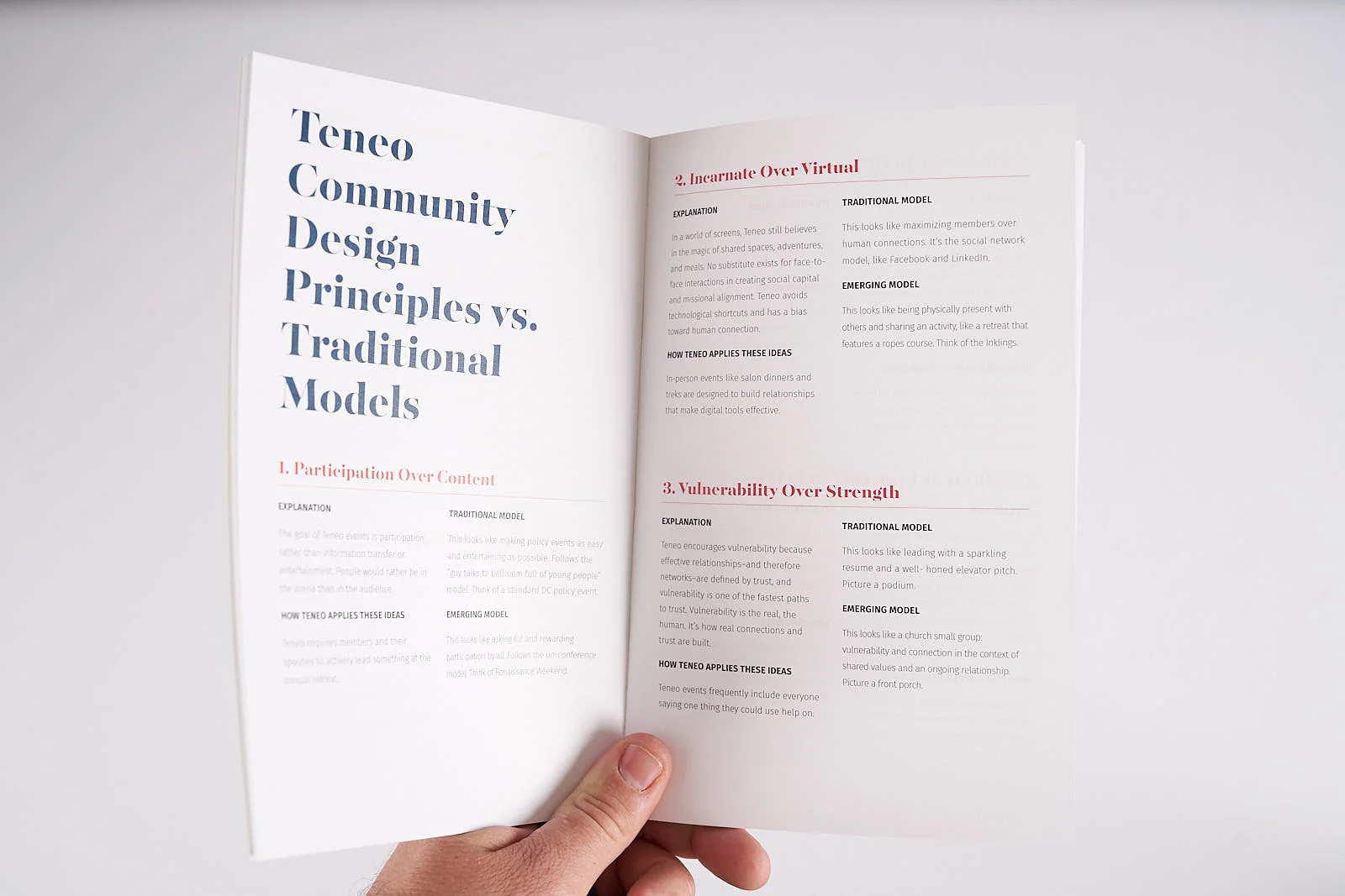 Teneo Community Vision