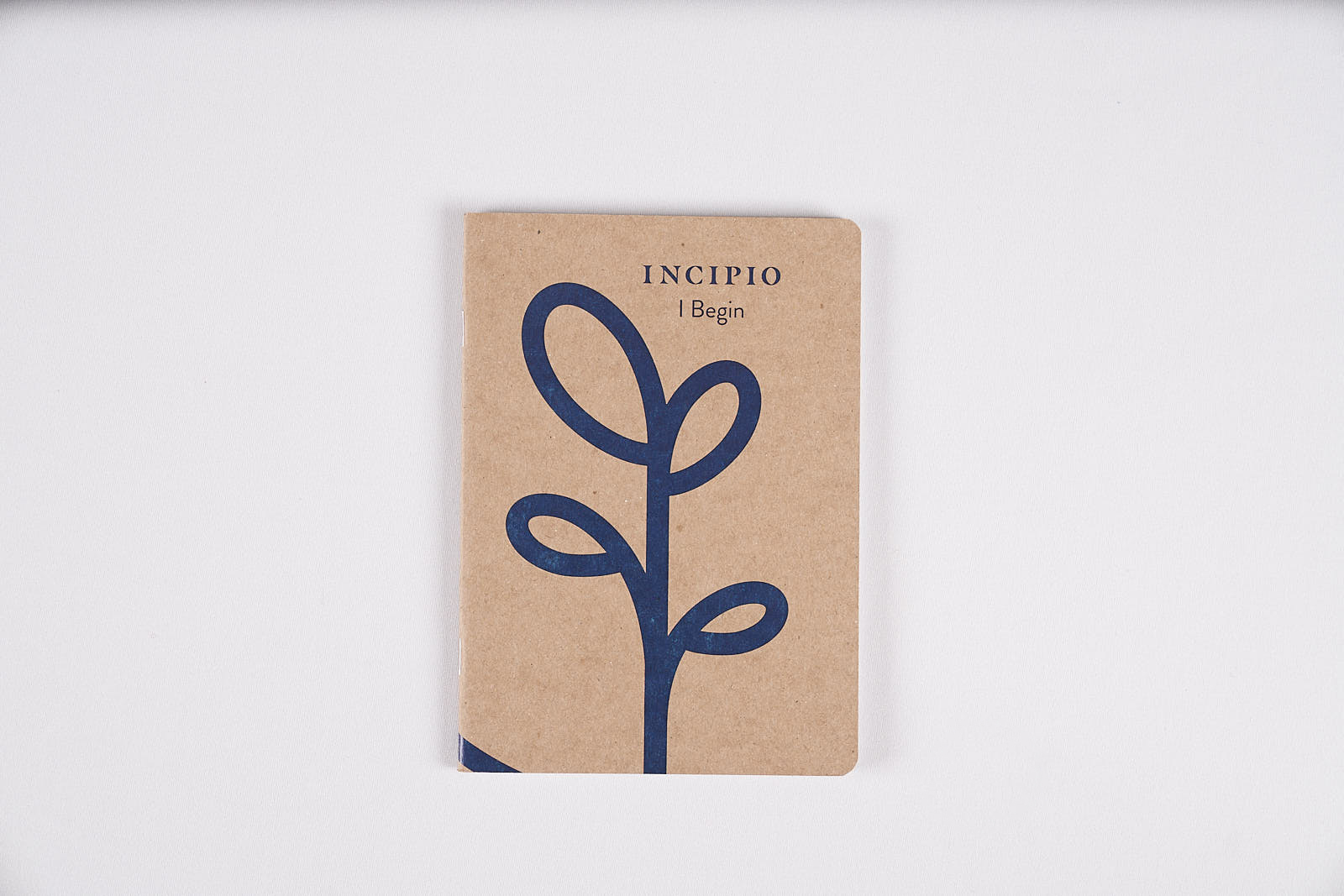 2019_07_09_Teneo Portfolio_002.jpg