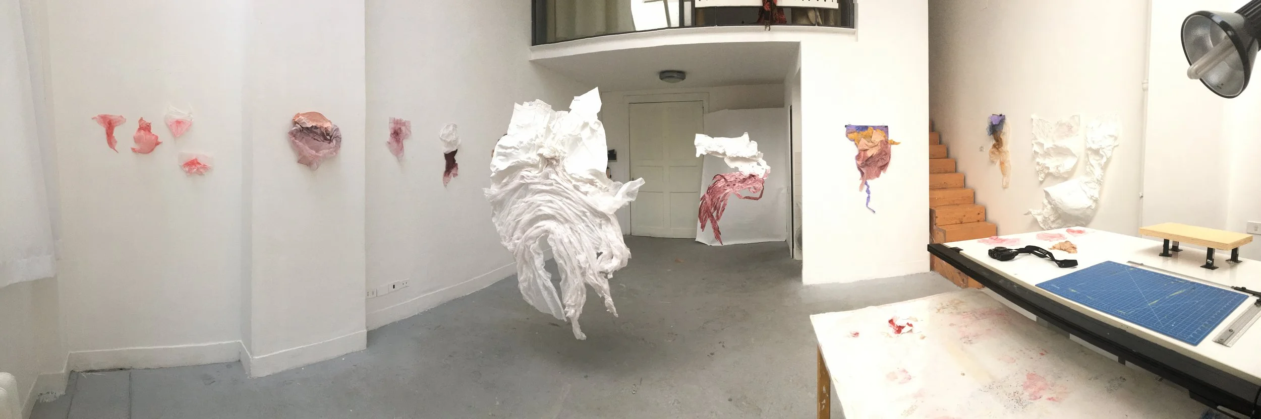 studio panorama.jpg