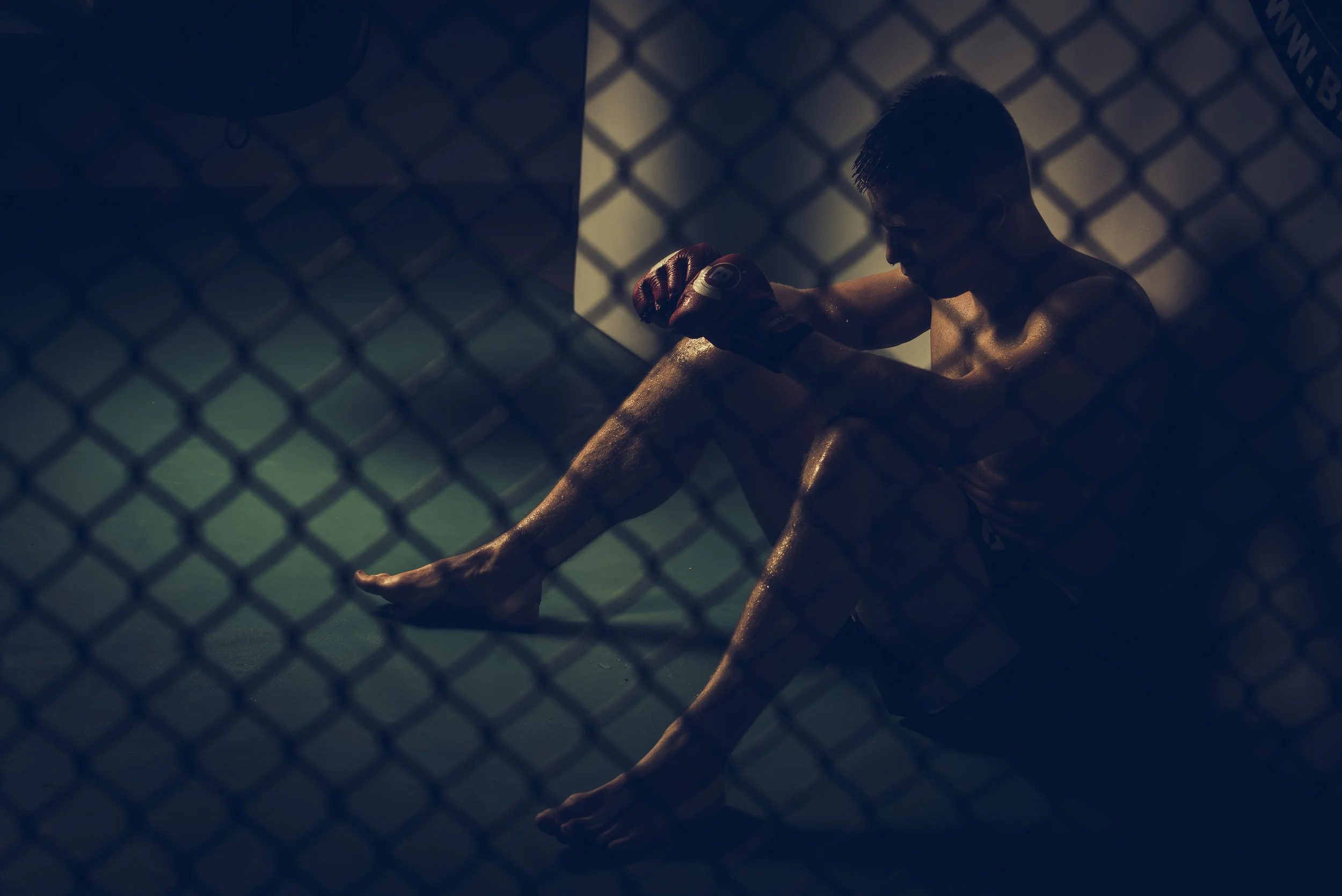 Marcin Held / MMA