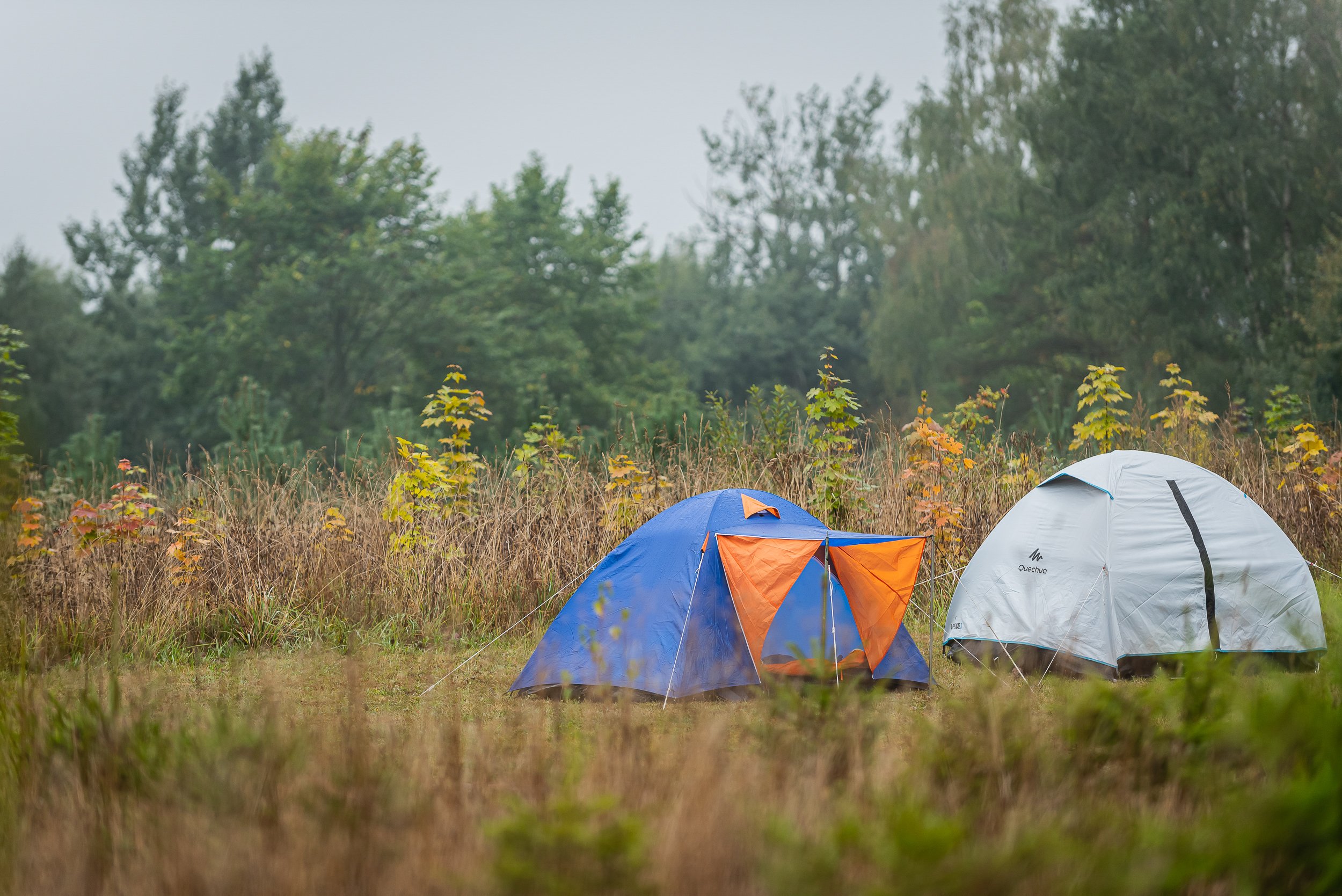 dev_camp_boldare_09-2022_rk-114.jpg