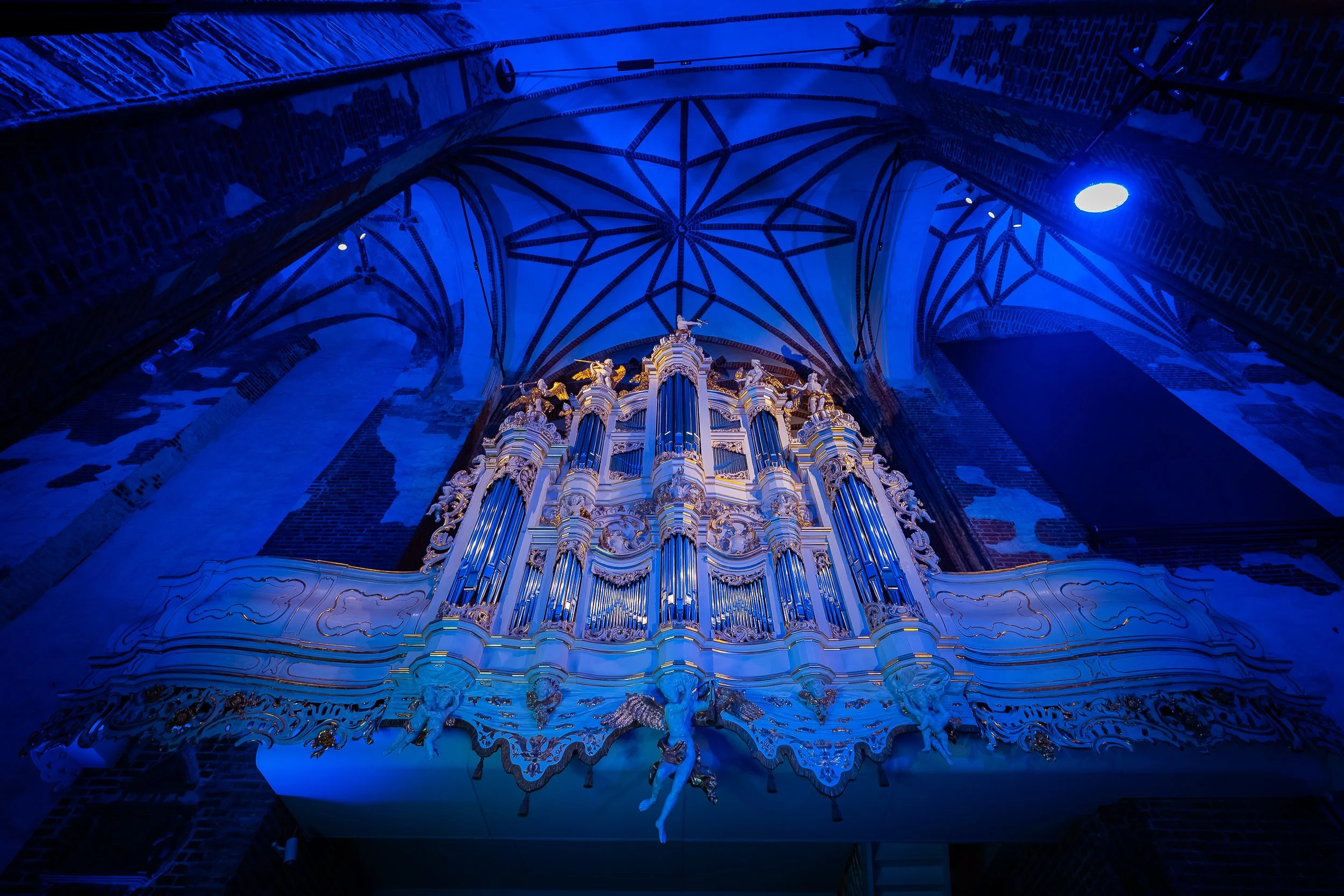 danzig_09-2026_rk_198.jpg