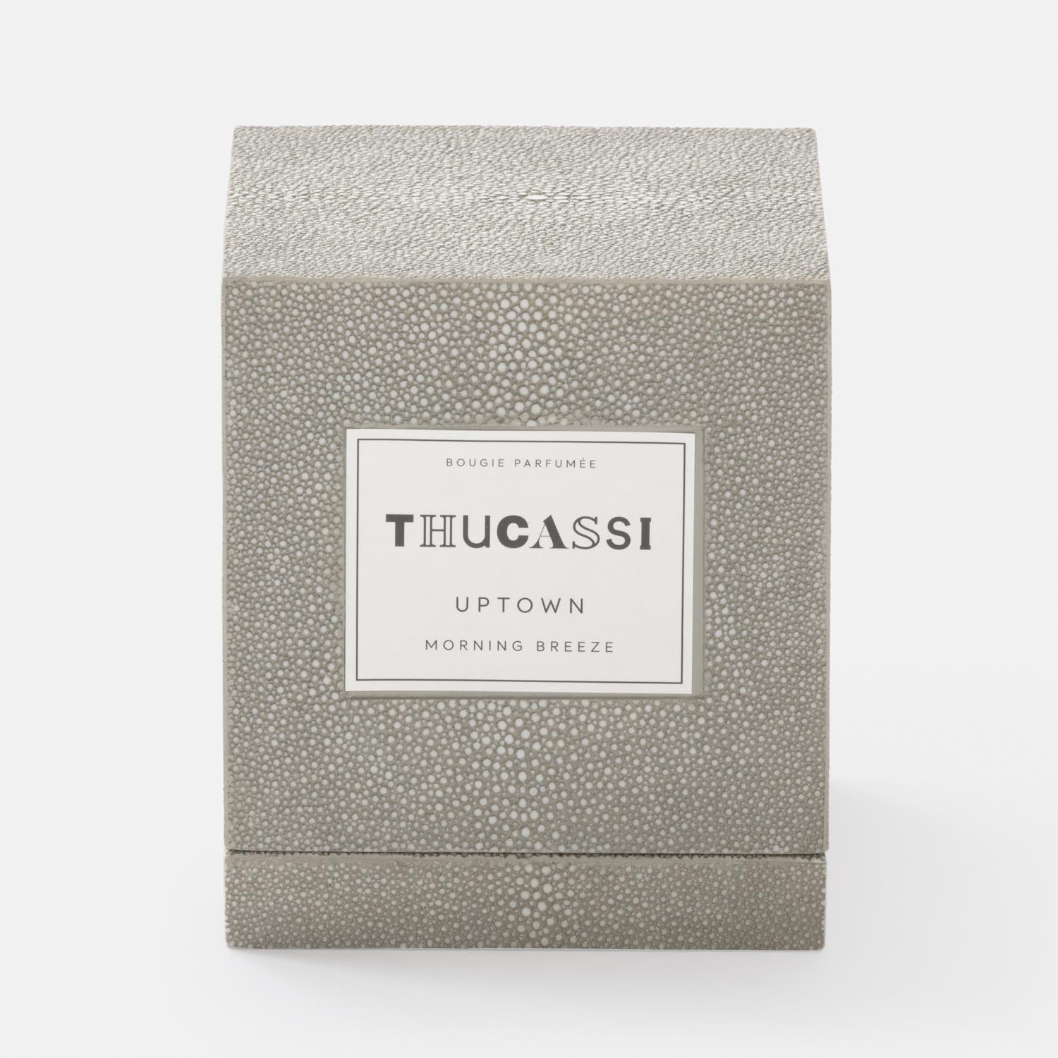 Thucassi-Uptown-CandleFullShagreen-8oz_MorningBreeze.jpg