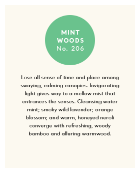 TH_ScentBanners_Ferrum_S23_Mint-Woods.png