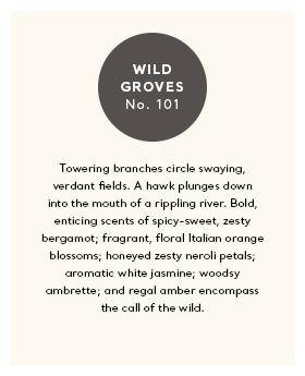 TH_ScentBanners_Ferrum_S23_Wild-Groves.png