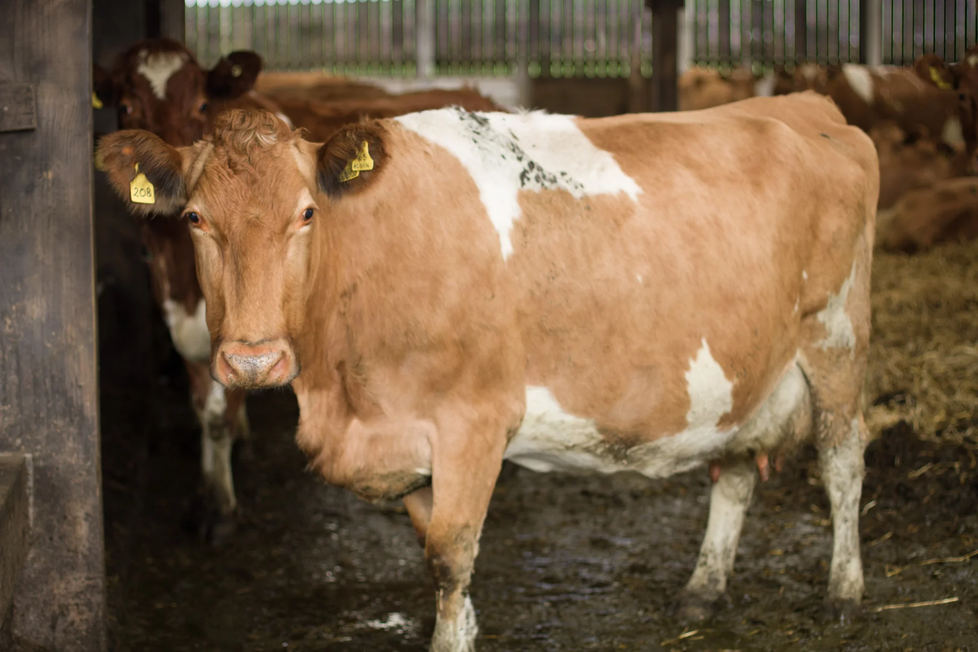 Mooon-Milk-4.jpg