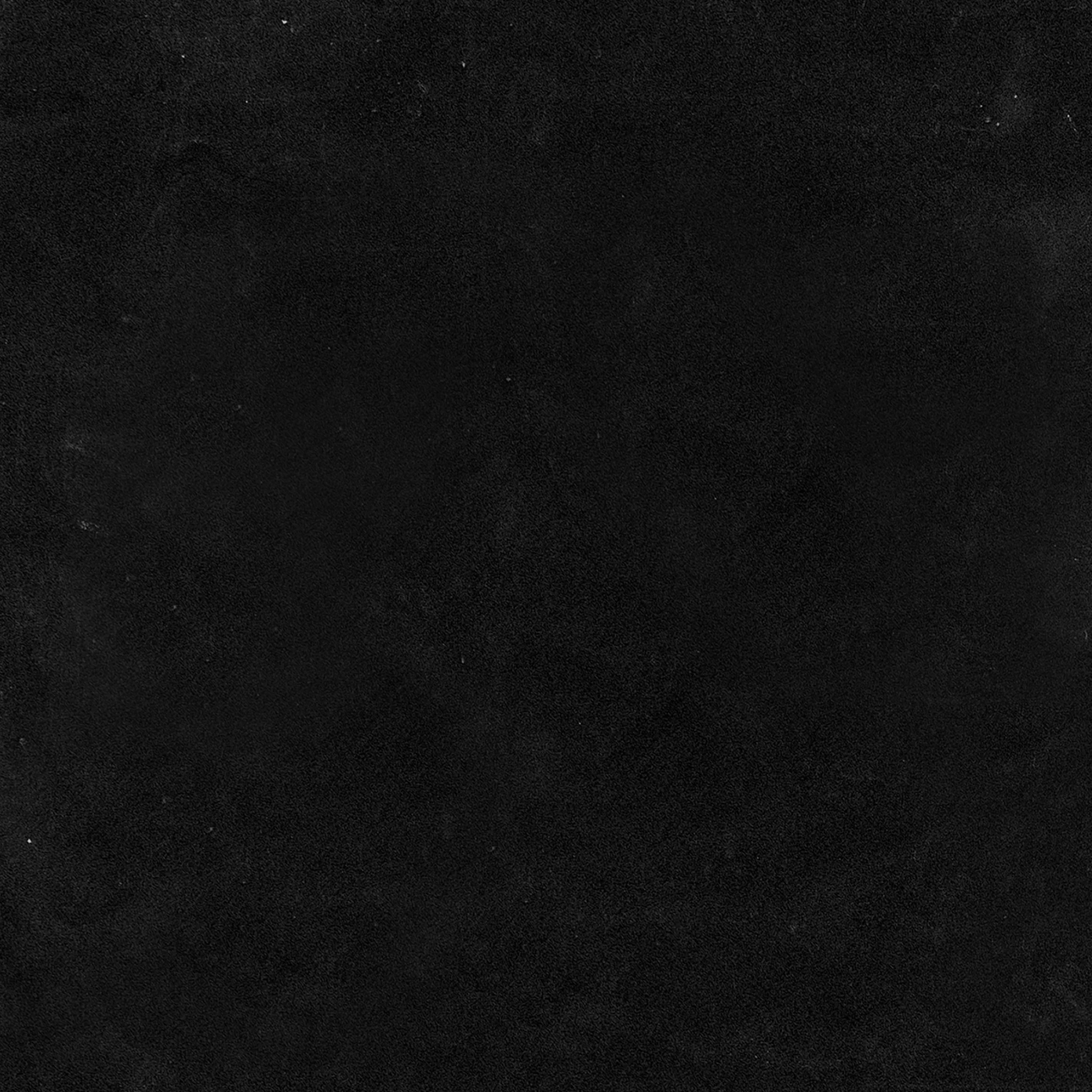 Dan Sadin Cover BG.jpg