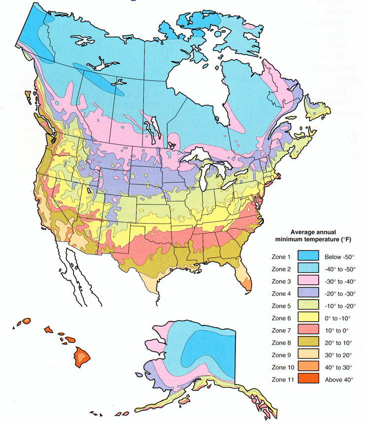 Us Planting Zones Chart