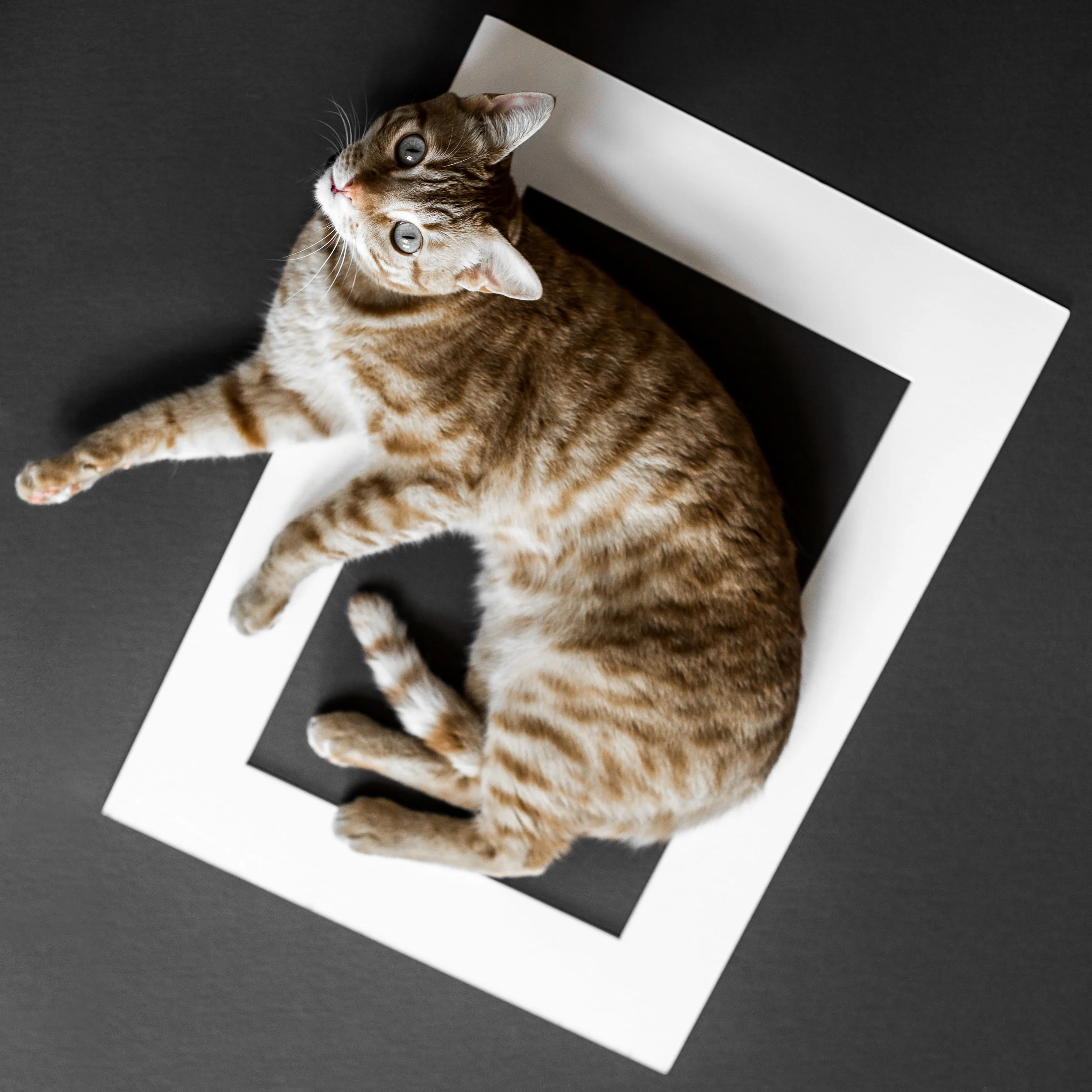 Framed