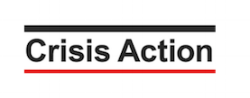 Crisis Action works with individuals and organisations from global civil society to protect civilians from armed conflict. We are an international organisation. We are a catalyst and convenor of joint action whose work behind the scenes enables coalitions to work quickly and effectively. Learn More --->