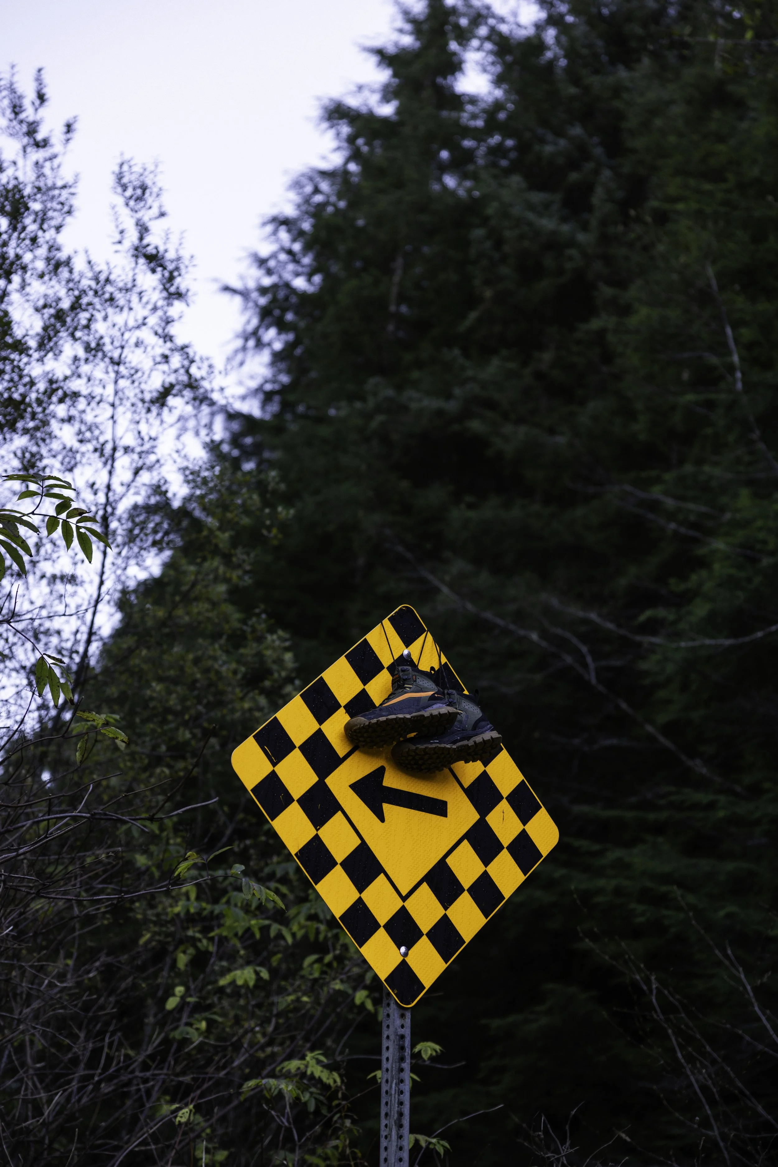 VANS_Scott_Wild-0223.jpg
