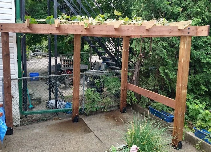 pergola 2.jpg
