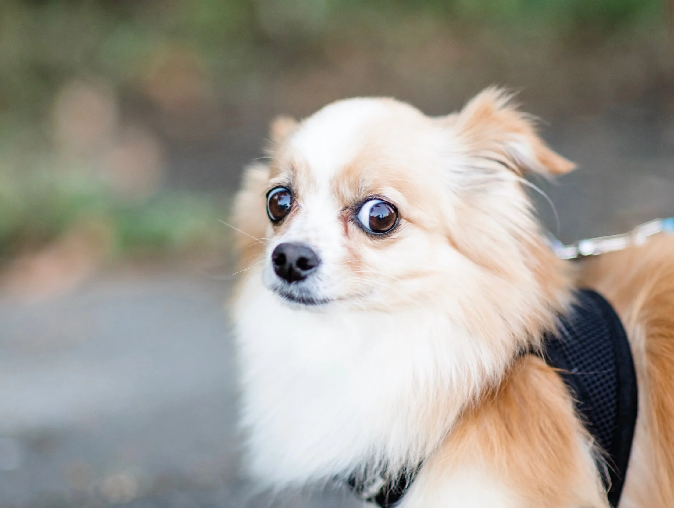 Wait! What's Barring?