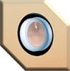 MetGlobalBRCA1.gif