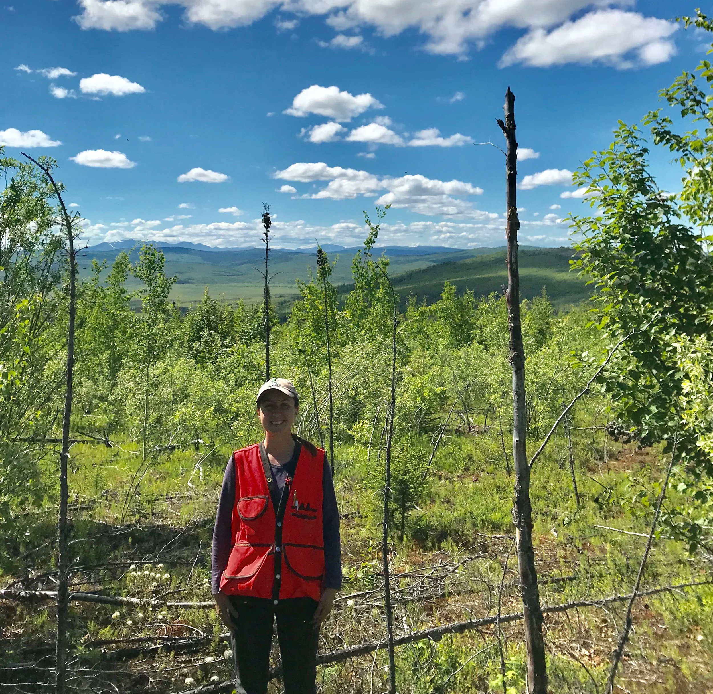 Fieldwork in Interior Alaska 