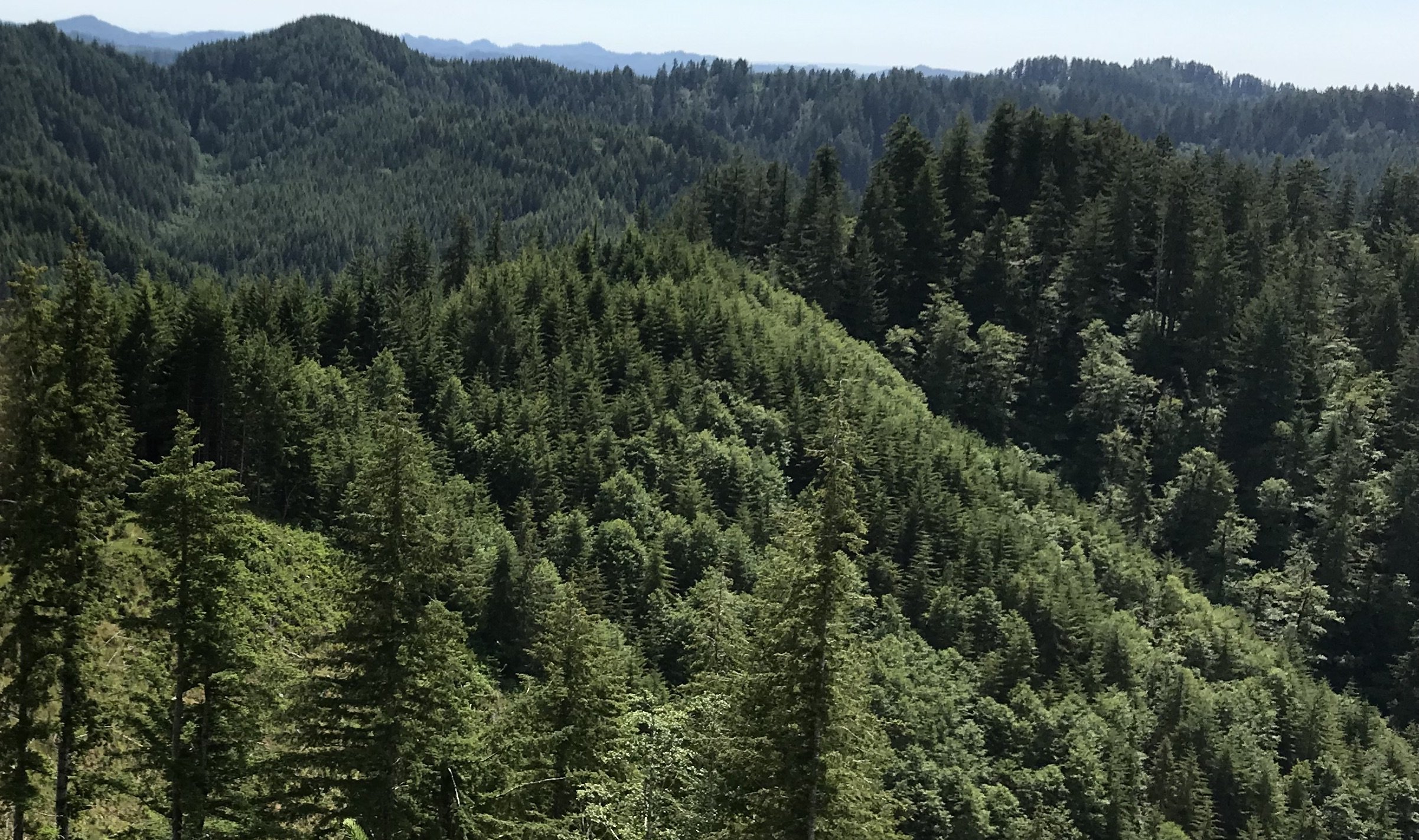 USDA and OR Dept of State Lands: Management on the Elliott State Forest