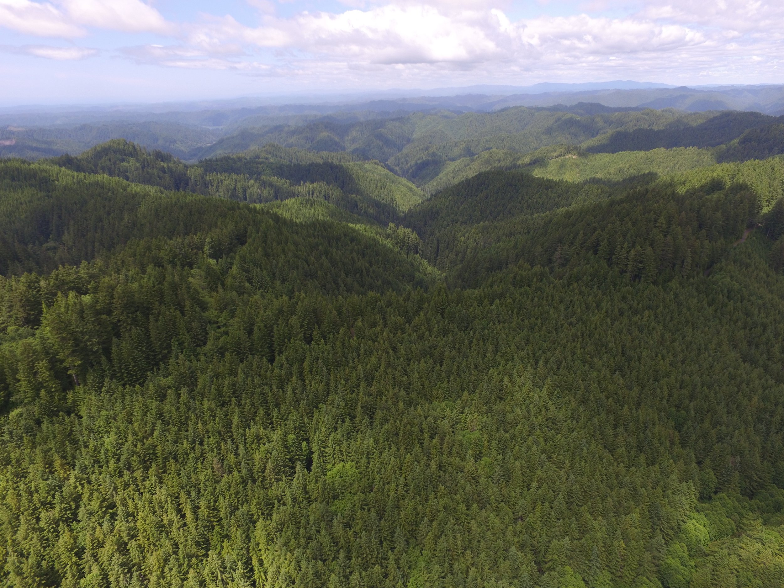EPA/BLM: Forest policy and climate change in the Coast Range of Oregon, 2013-2016