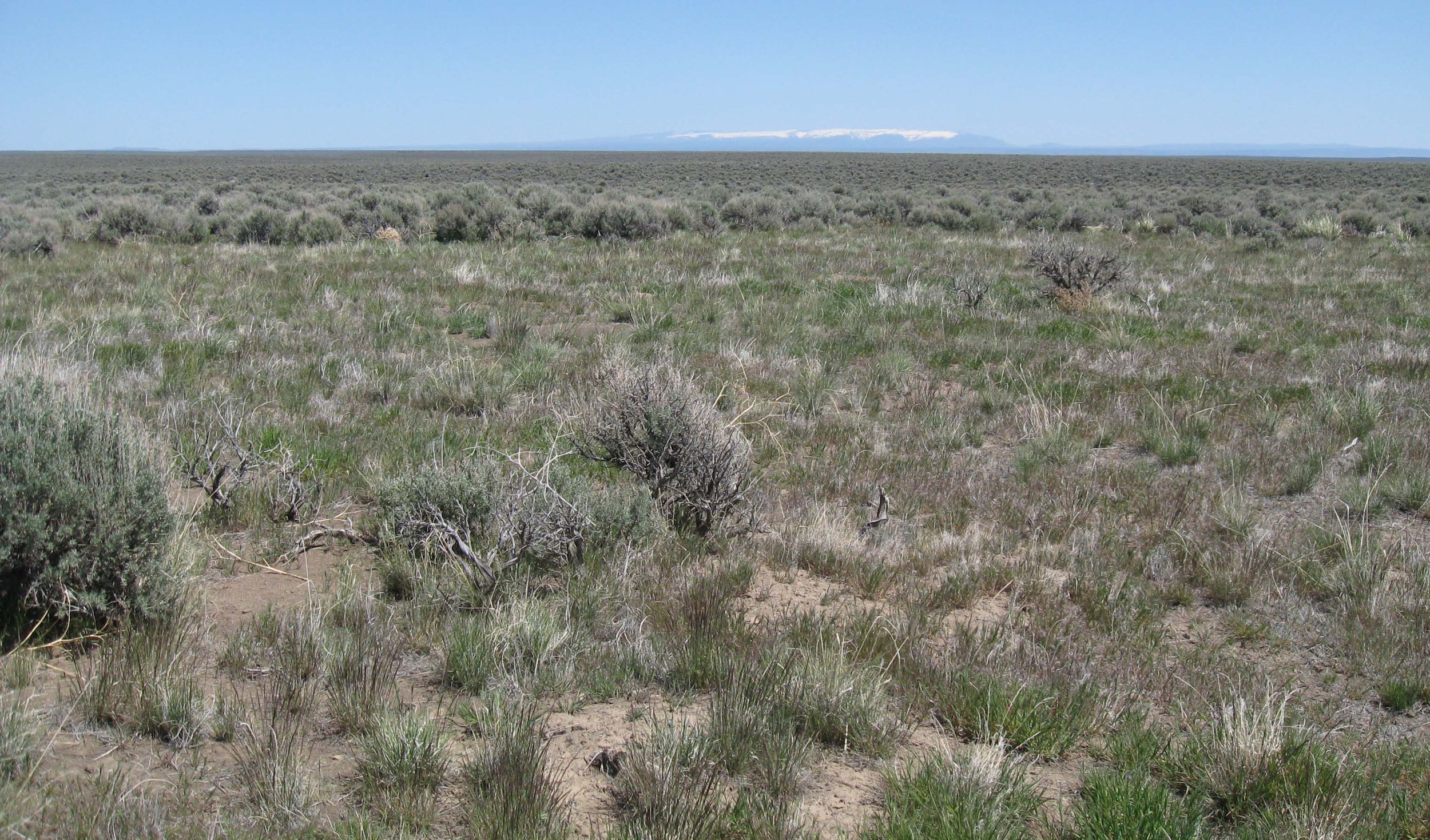 JFS: Fuel treatment durability in sagebrush ecosystems in current and future climates