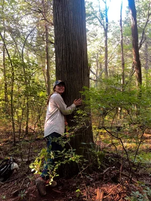 Hana Matsumoto, M.S.