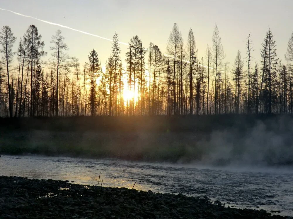 NSF Arctic: Quantifying rates of biome shifts under climate change in arctic and boreal ecosystems