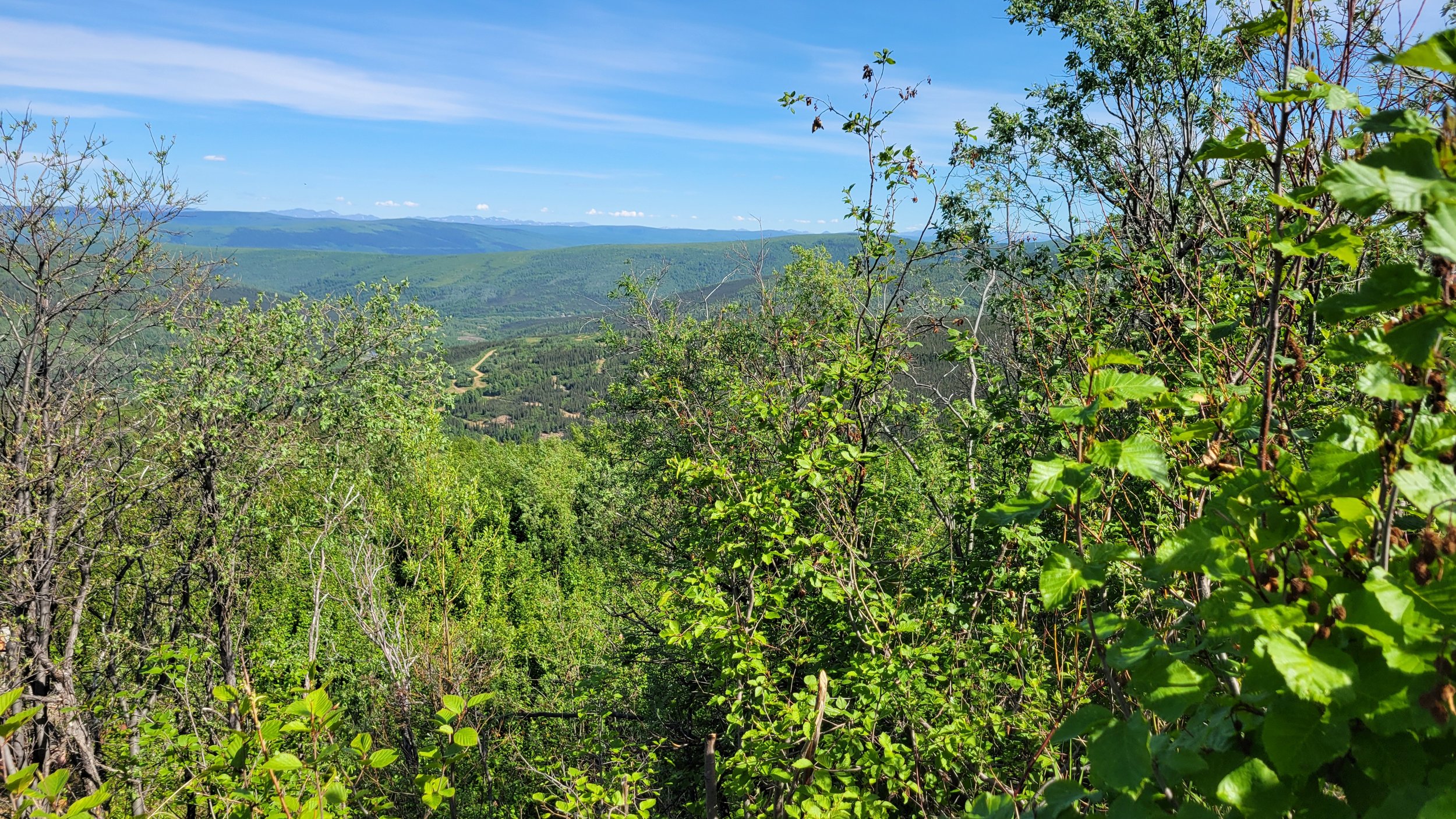 NSF BNZ Creek: Vegetation shifts in boreal Alaska