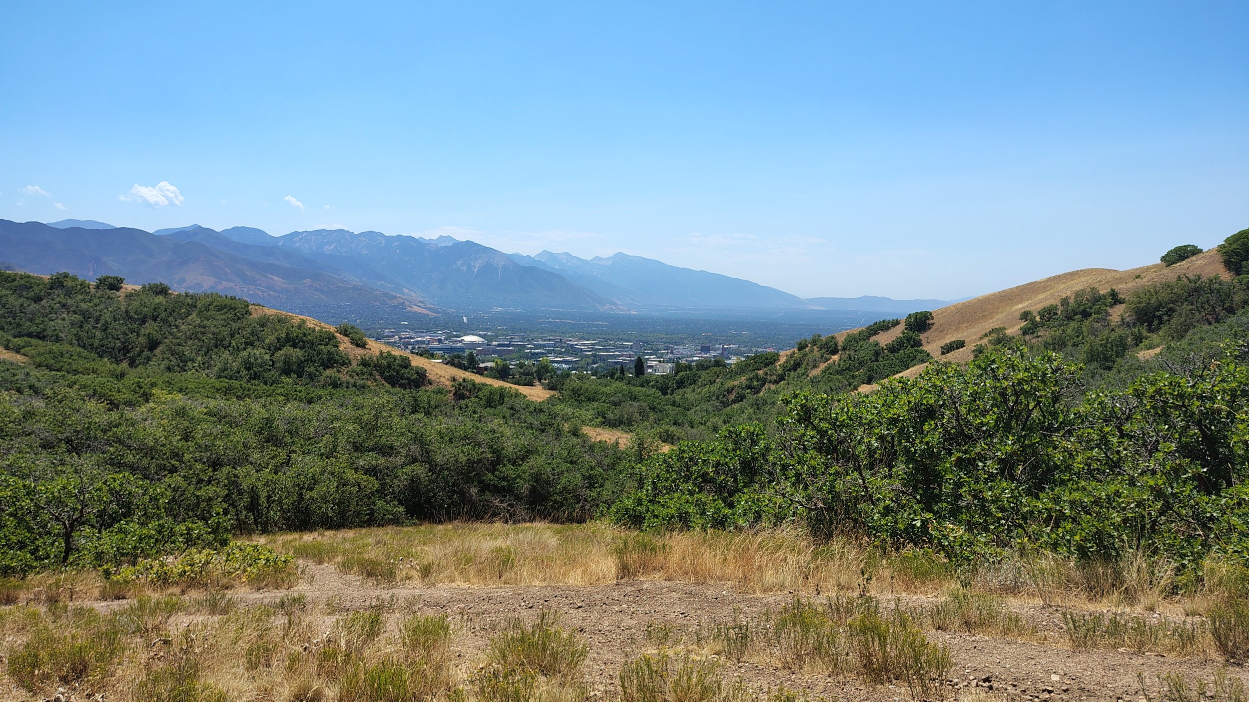 IMG_20260730_123224019_HDR.jpg