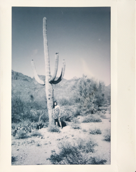 Screen Shot 2018-07-17 at 3.02.00 PM.jpg