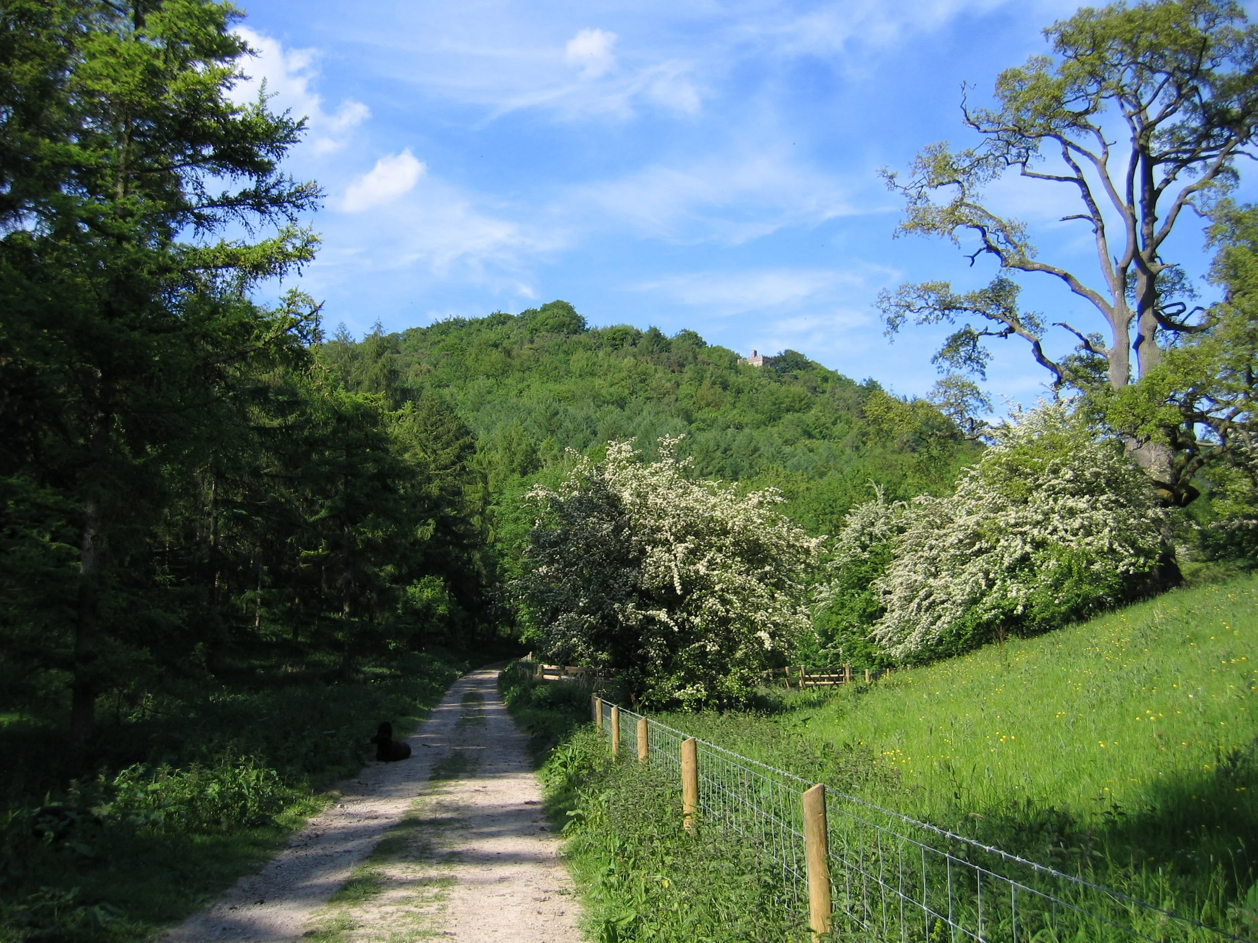Woodchester_PS (81).jpg