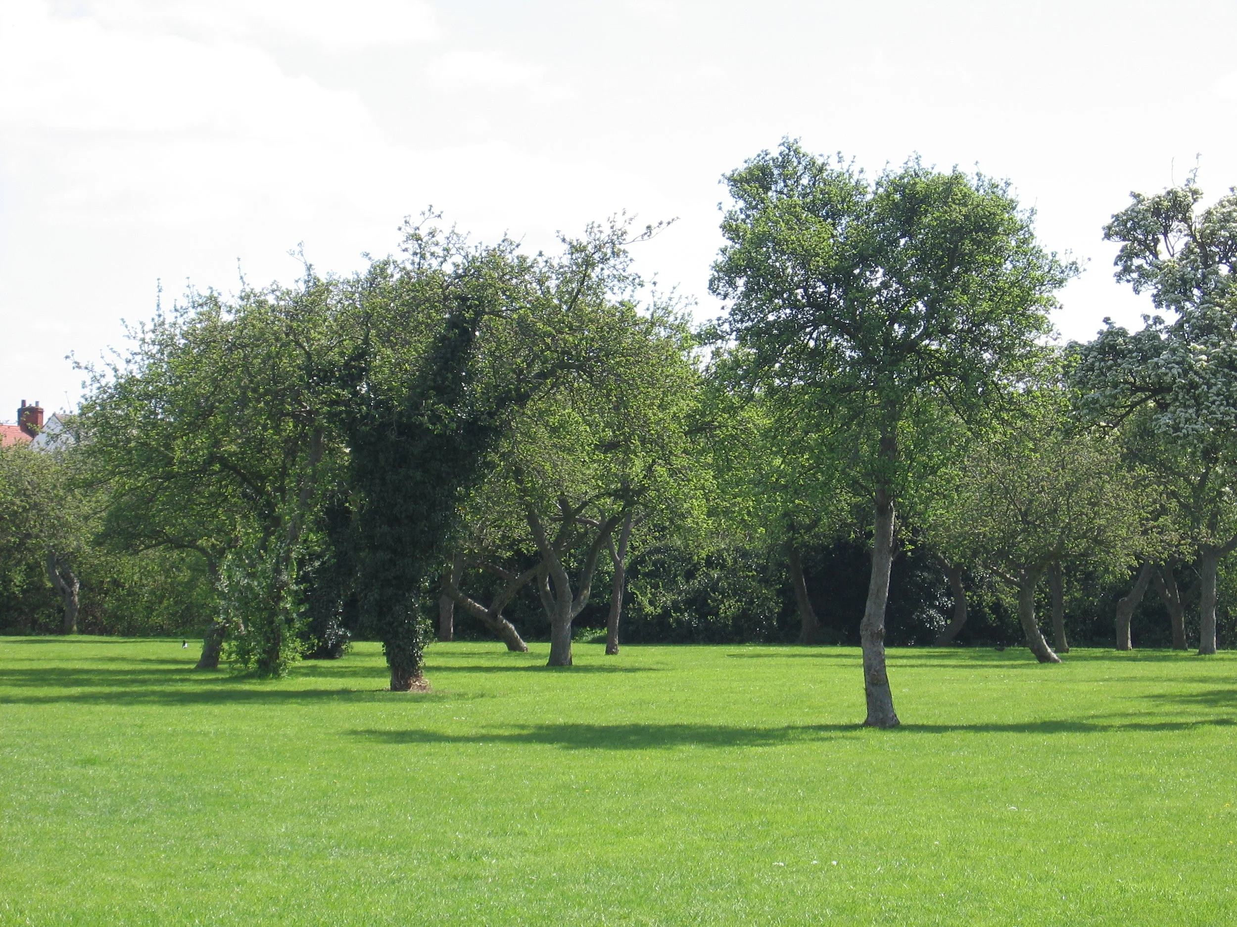 Waltham_Abbey_PS (37).jpg
