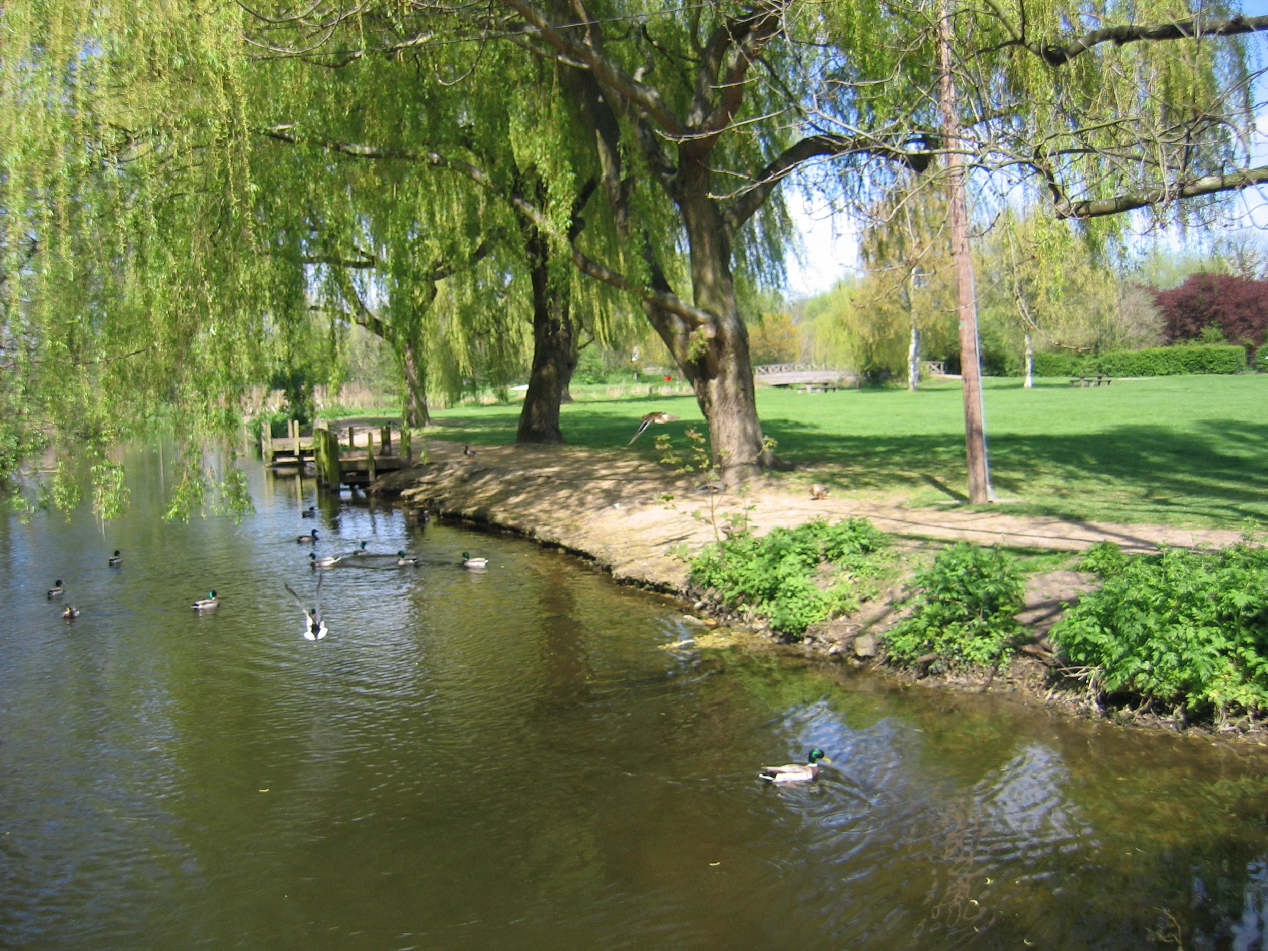 Waltham_Abbey_PS (43).jpg