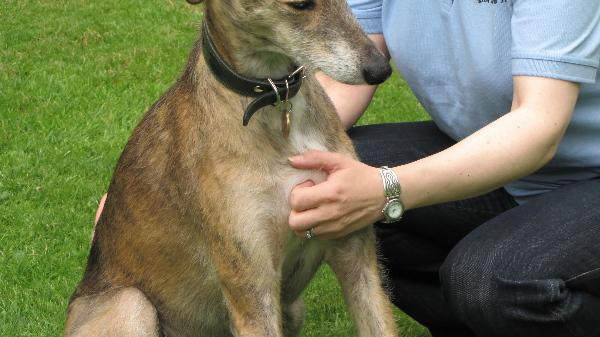 Introduction to Tellington TTouch® Workshop