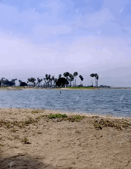 Oct-16-2018 11-04-01.gif