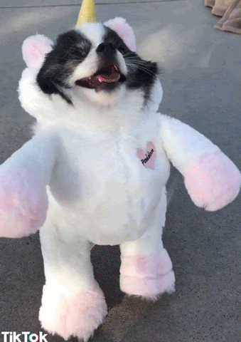unnamed (1).gif