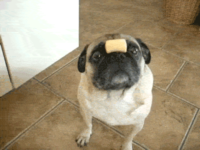unnamed.gif