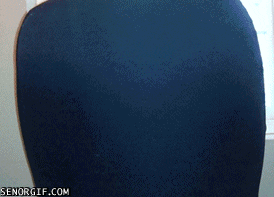 giphy+(27).gif