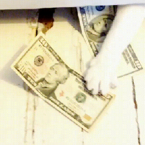 unnamed (1).gif