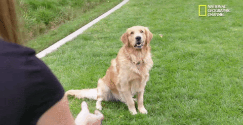 unnamed.gif