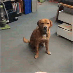unnamed.gif
