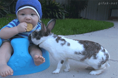 unnamed.gif