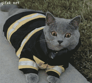 giphy - 2019-10-07T085659.815.gif