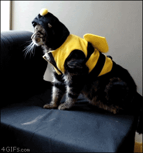 unnamed.gif