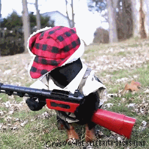 giphy - 2019-10-07T092604.946.gif