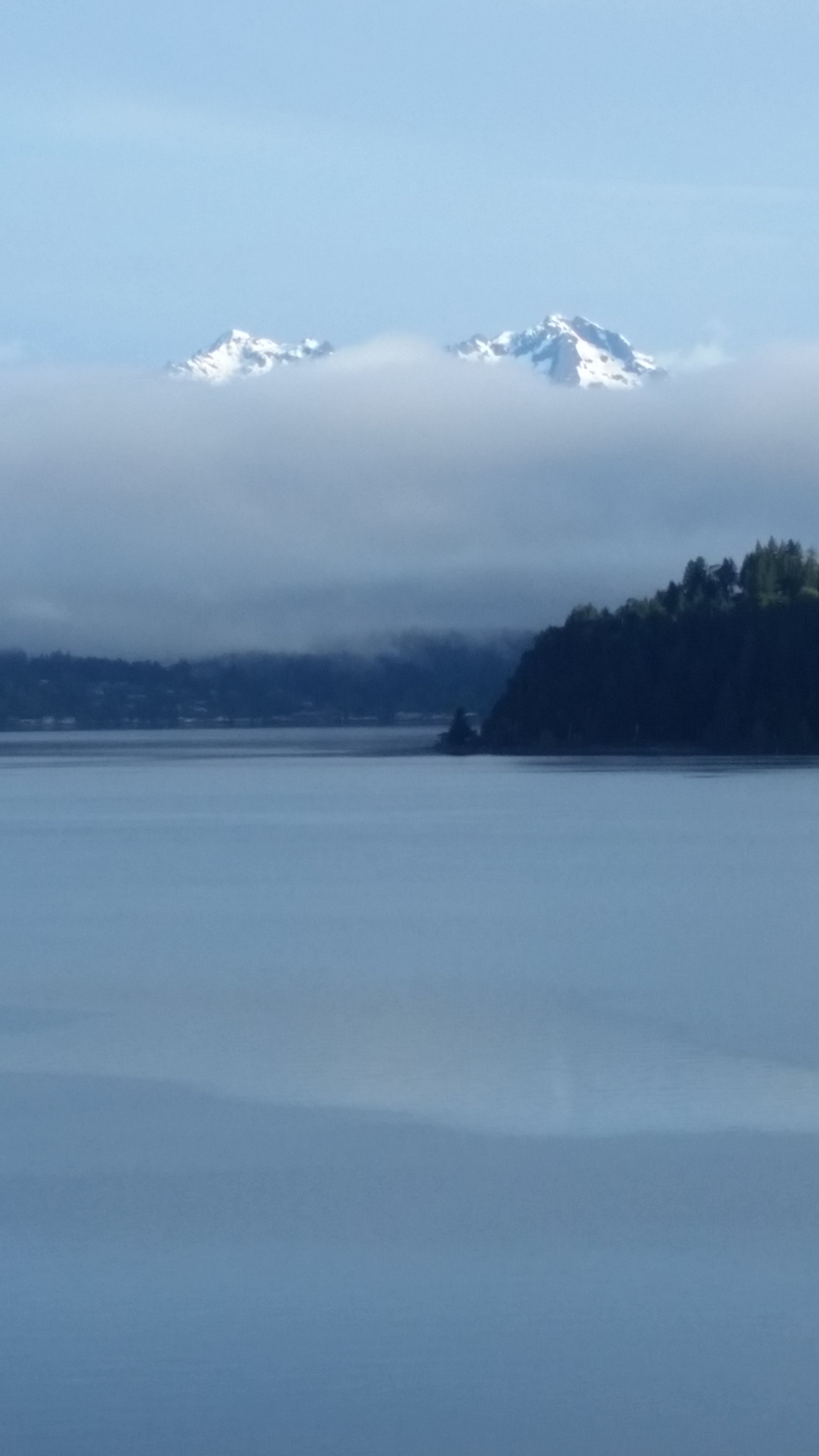 20180429_072240.jpg